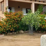 Mora Dell Onda