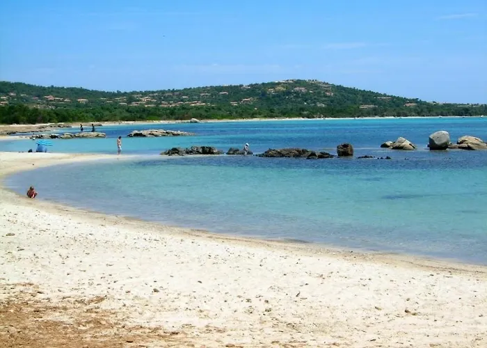 Mora Dell Onda