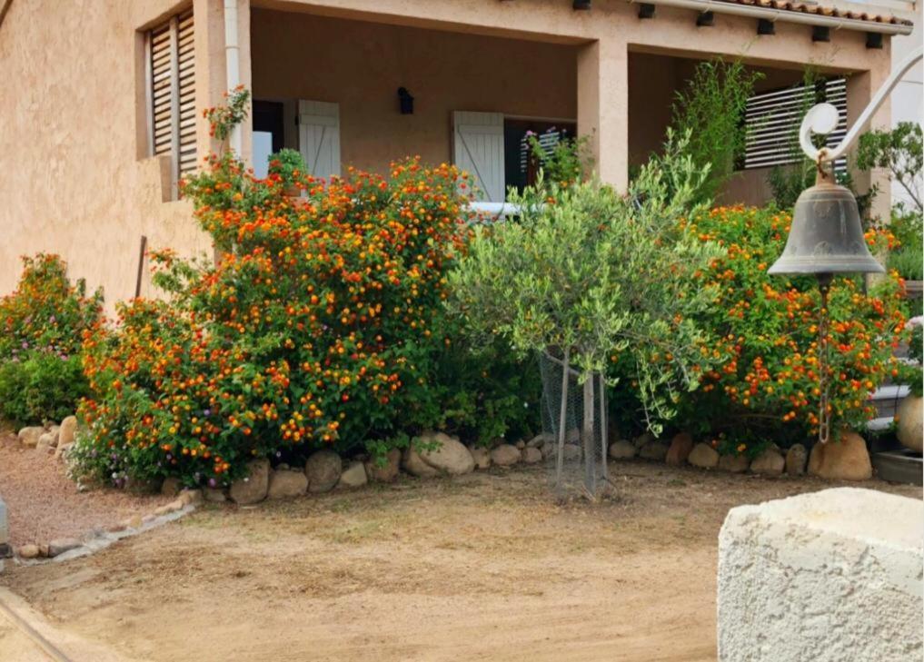 Apartment Mora Dell Onda Porto-Vecchio (Corsica)